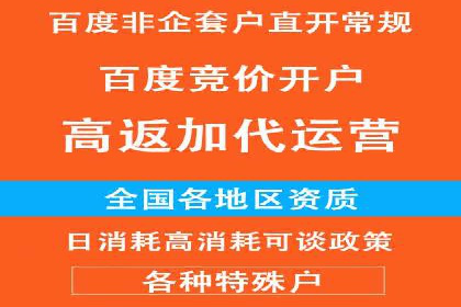 百度推广运营实战技巧：案例教学与解析