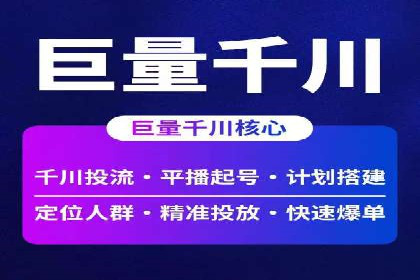 成功SEM竞价托管案例分析报告